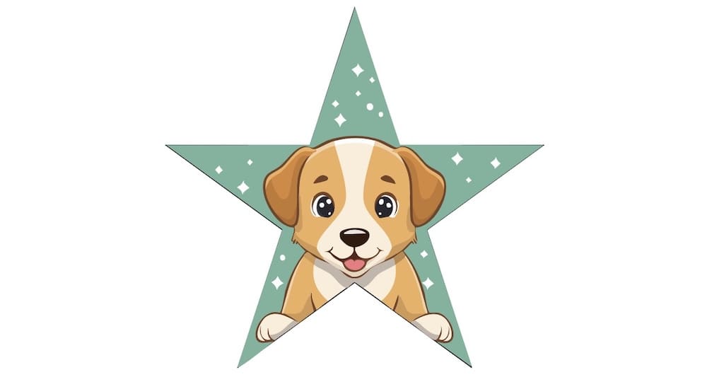 Adobe Illustrator的AI功能